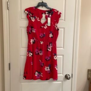 Scallop detail on dress back. New with tags from stitch fix. LP41 Hawthorne